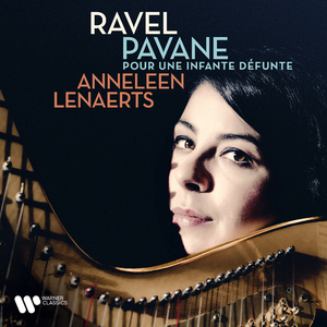 麻豆免费观看视频网站
