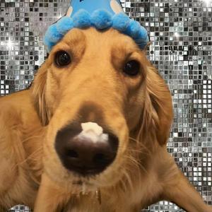 麻豆免费观看视频网站
